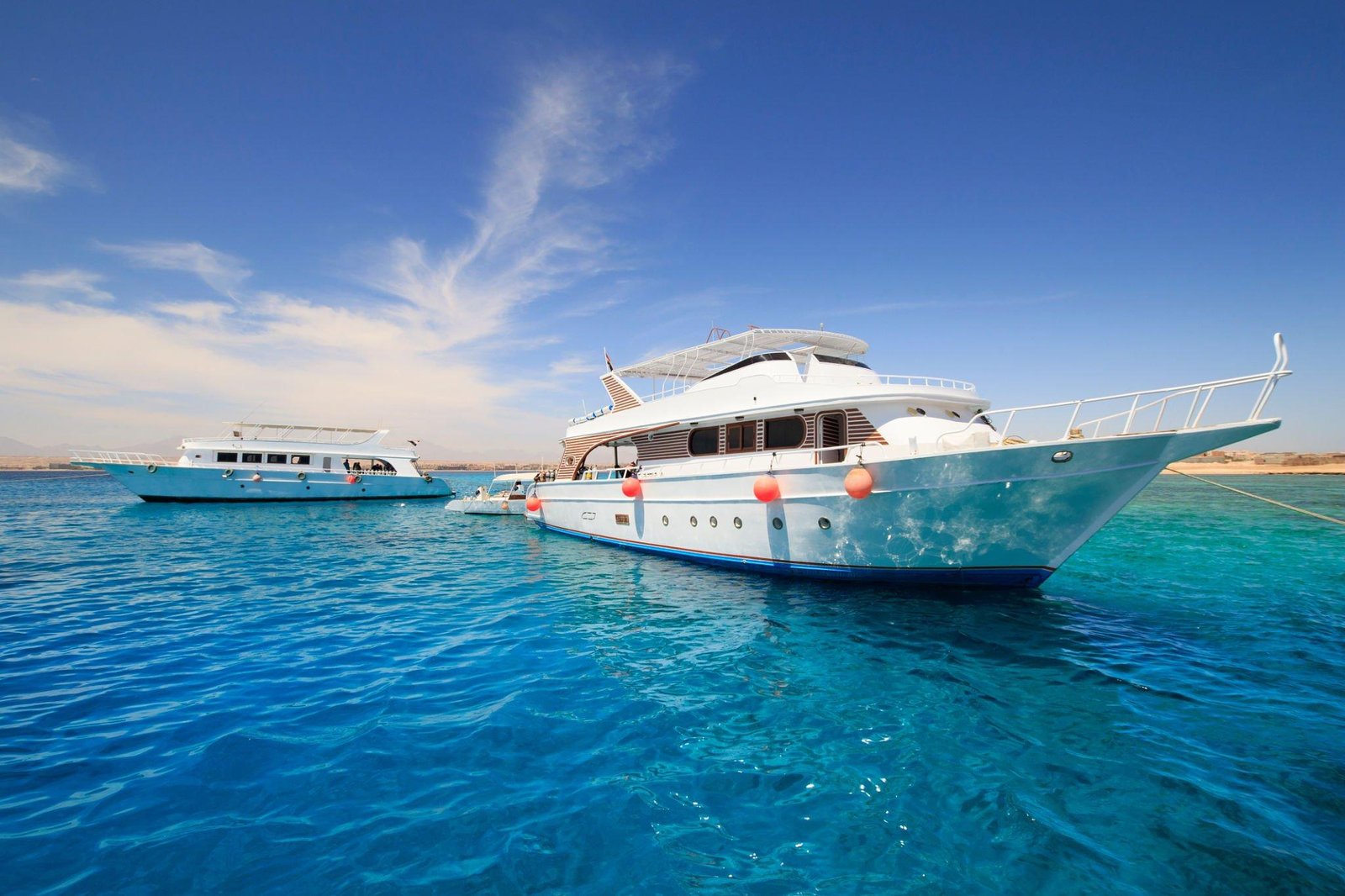 Swim with Dolphins in Hurghada: Unforgettable Red Sea Adventure!