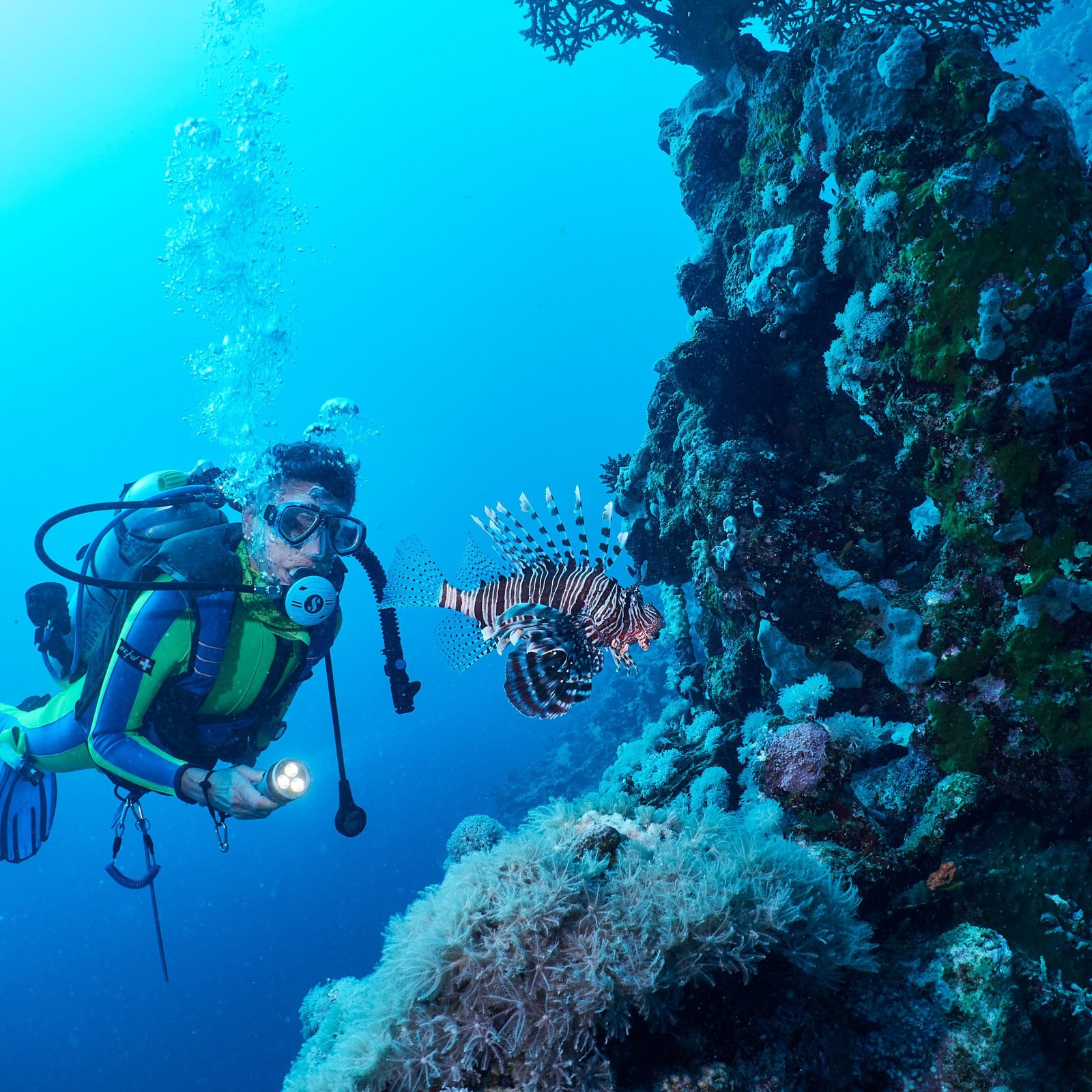 8 Hours Scuba Diving Sea Trip Adventure for Beginners in Hurghada