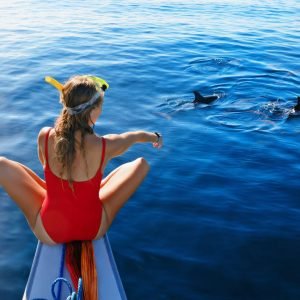 Dolphin House - Hurghada - Egypt Adventures