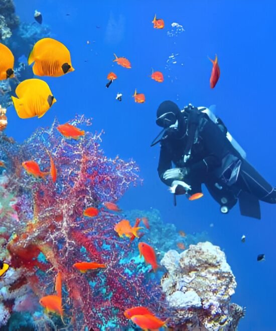 Dive Deep into Egypt’s Blue Treasures