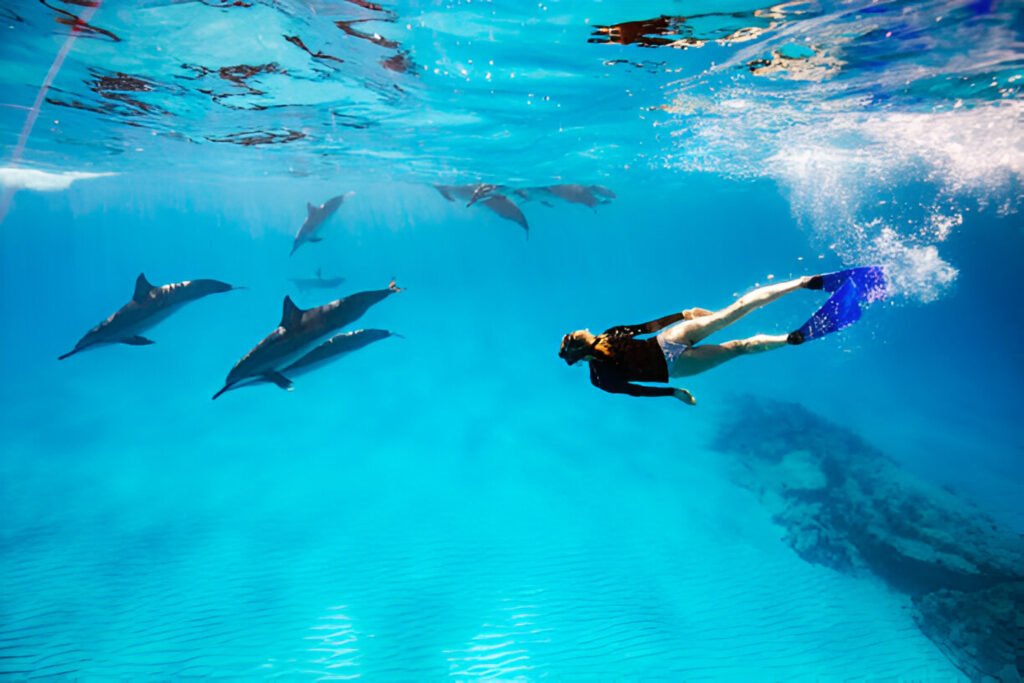 Dolphin House Hurghada