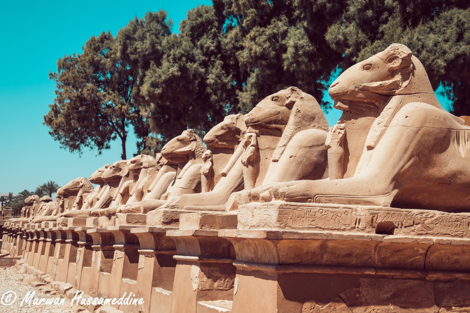 Explore Egypt’s Rich Heritage