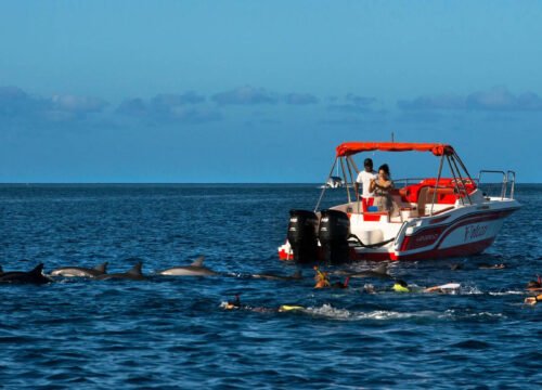 4-Hour Private Speedboat Trip to Dolphin House - Hurghada