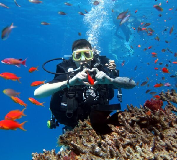 White Island & Ras Mohamed Luxury Yacht Trip in Sharm El-Sheikh