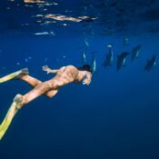 Dolphin House Hurghada