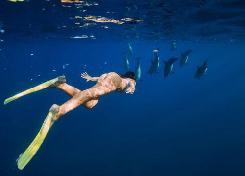 Dolphin House Hurghada: Swim and Snorkel with Dolphins in the Red Sea