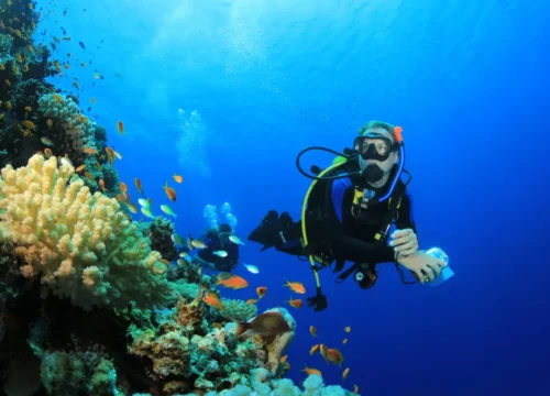 Intro Diving for Beginners in Hurghada