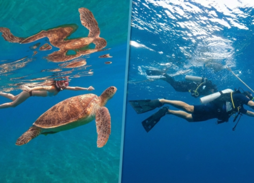 Snorkeling vs. Scuba Diving in Hurghada: Which Red Sea Adventure is Right for You?